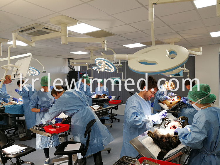 Led Surgical Light